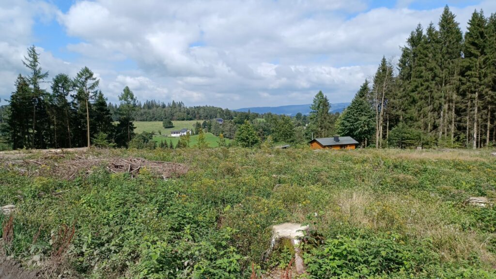 Schöne Aussichten vom Schäferhof 3