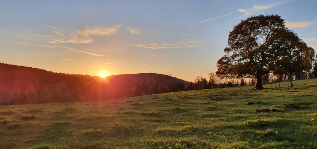 Schöne Aussichten vom Schäferhof 2